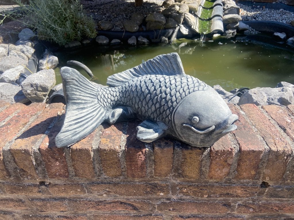 Koi, poisson, Jardin & Terrasse, Enlèvement, Neuf, Béton, Animal
