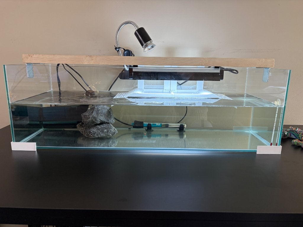 Moerasschildpad met terrarium, Ophalen, Zo goed als nieuw, Terrarium of Paludarium