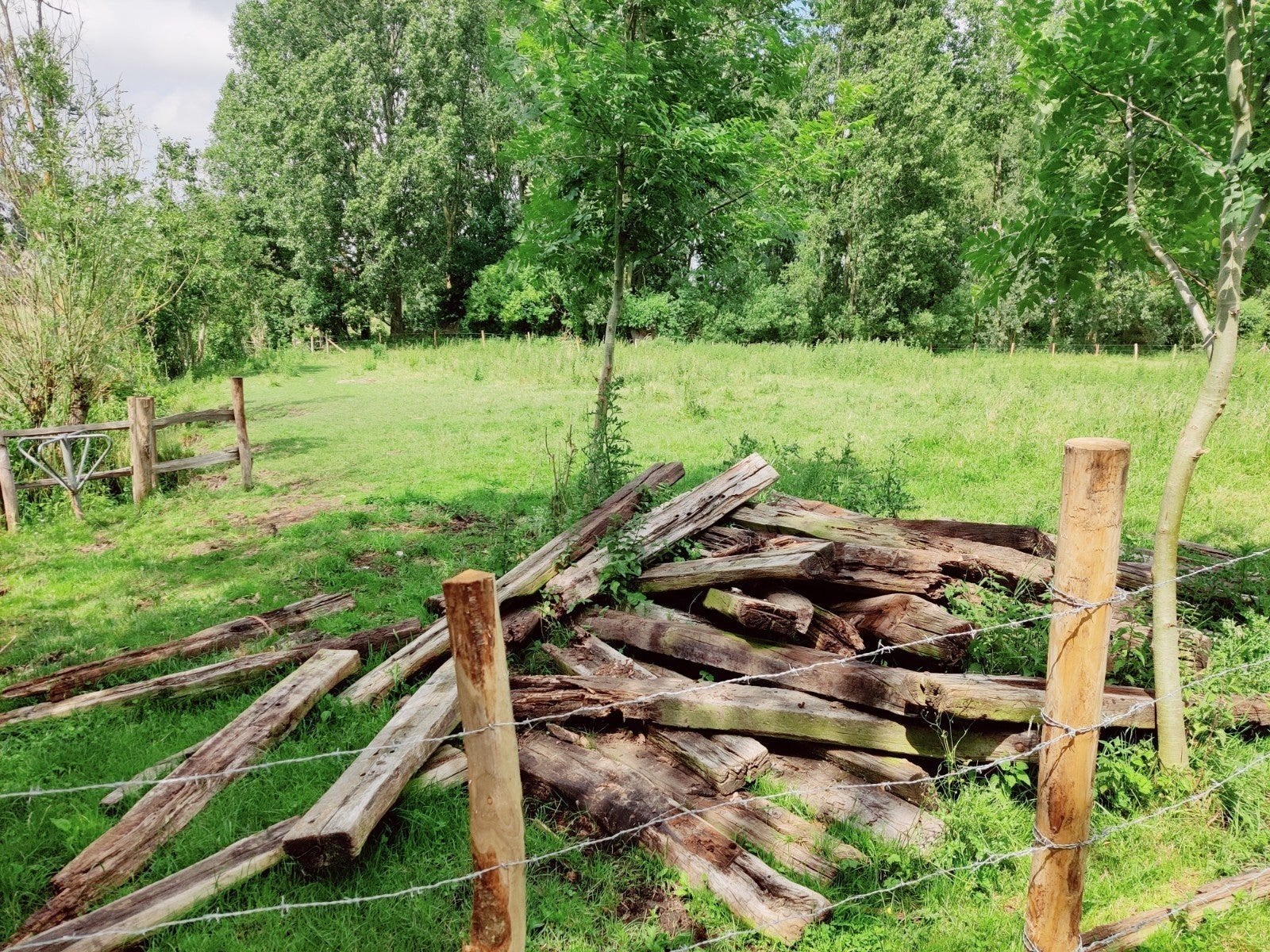 Gratis treinbilzen, Jardin & Terrasse, Traverses & Bordures, Utilisé, Traverse, Bois, Enlèvement