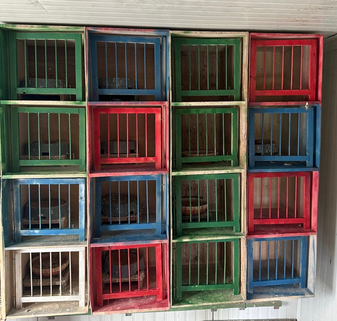 Duivenbakken, Animaux & Accessoires, Oiseaux | Pigeons