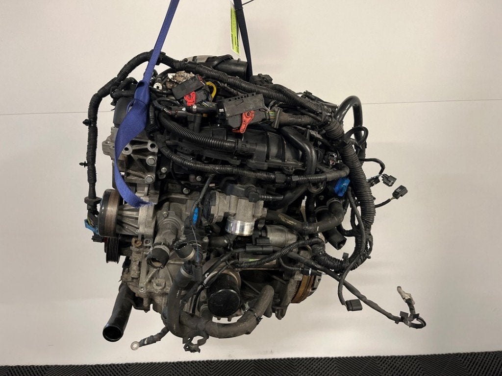 MOTOR Ford Focus 3 (|2316230|RMCJ5G6006DA|), Gebruikt, Henry-Ford-Straße  1
50735  Köln, DE, Ford-Werke GmbH, Kunden@ford.com