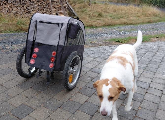 Remorque de vélo pliable pour animaux, Ophalen, Gebruikt, Minder dan 20 kg, Opvouwbaar