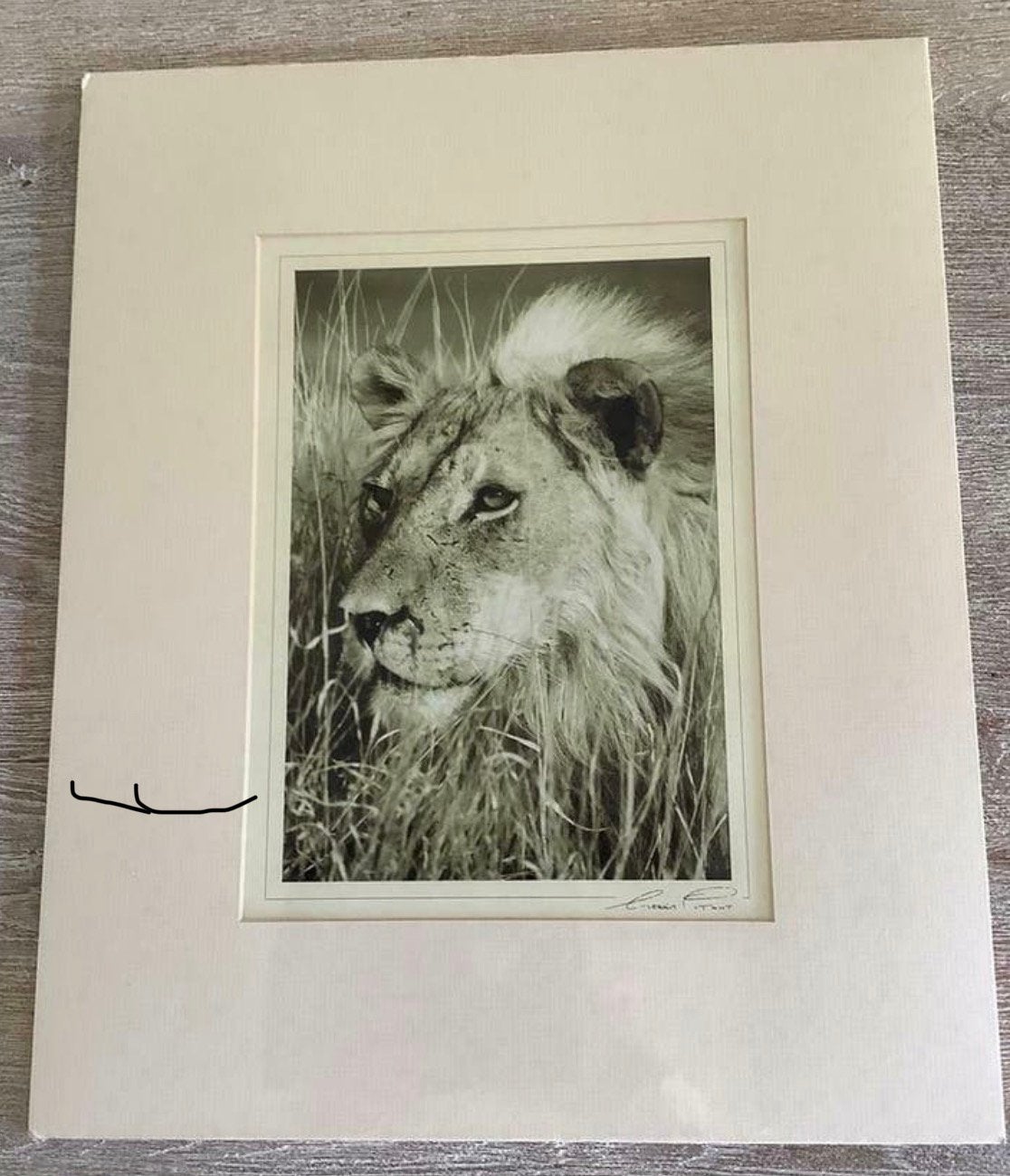 Originele print fotografie van Gerrit Pitout, Antiek en Kunst, Kunst | Etsen en Gravures, Ophalen
