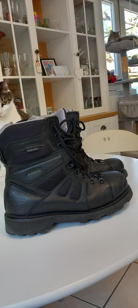 Motor laarzen Harley Davidson maat 42, Ophalen of Verzenden, Laarzen