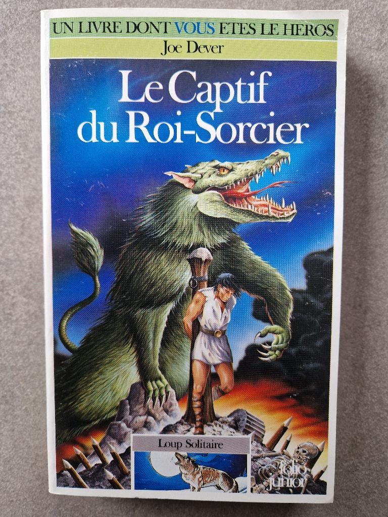 Ldvelh Loup Solitaire 16 Le Captif du Roi-Sorcier Héros, Livres, Livres pour enfants | Jeunesse | 13 ans et plus, Utilisé, Fiction