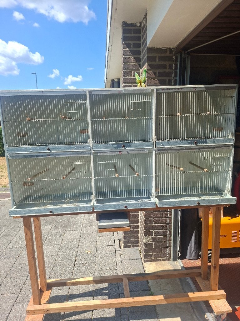 Kweekkooi, Dieren en Toebehoren, Vogels | Hokken en Kooien, Gebruikt, Broedkooi of Kweekkooi, Hout, Ophalen