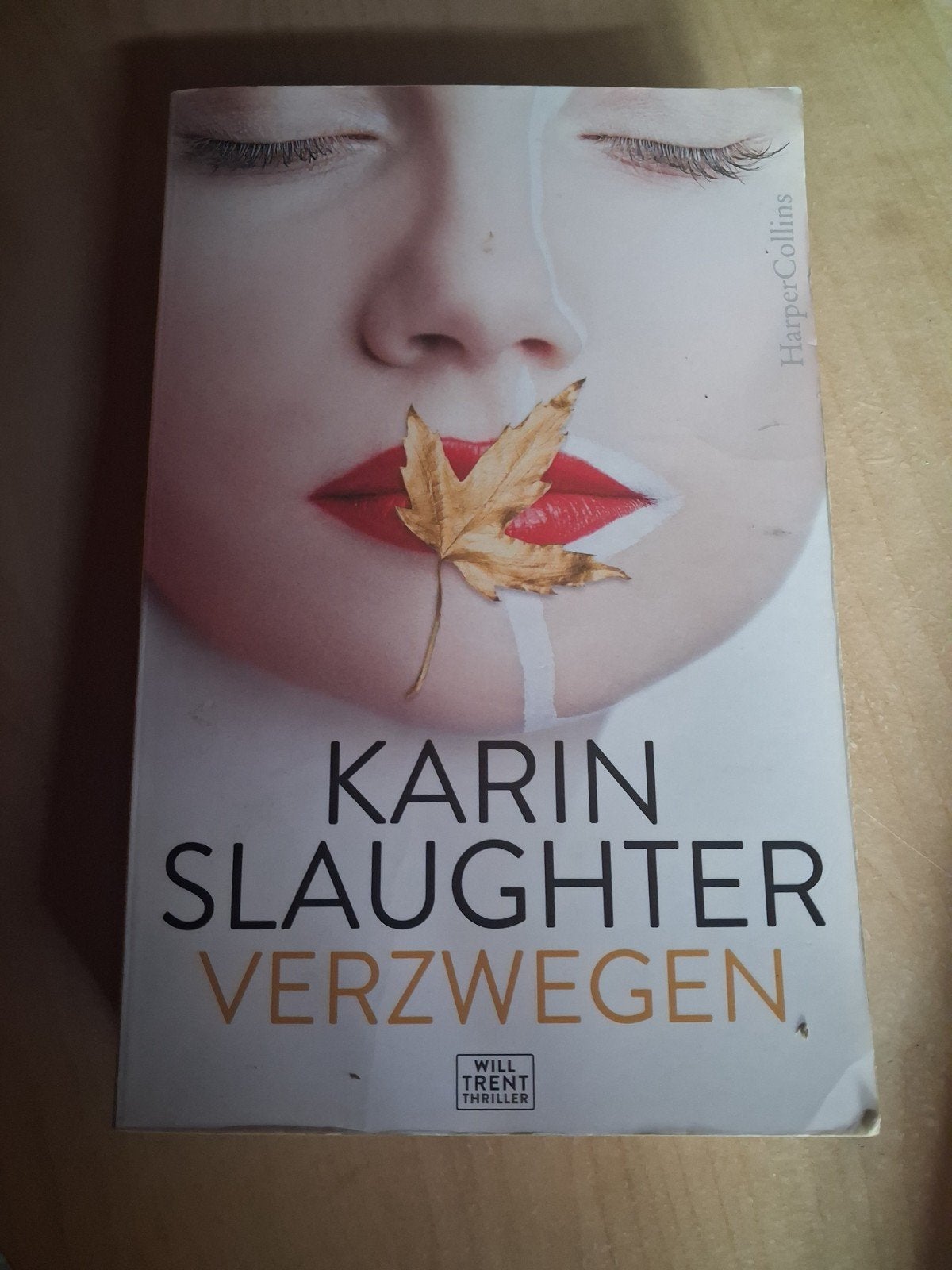 Verzwegen, Boeken, Ophalen, Gelezen, Karin Slaughter
