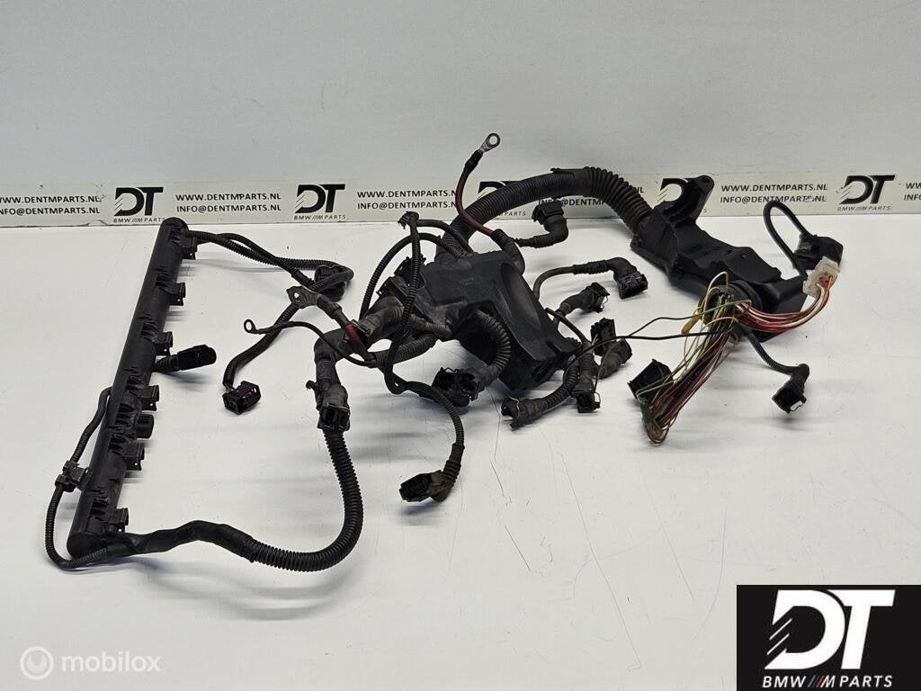 Kabelboom motor BMW E46 M3 S54 S54B32 MSS54 12517831646, Autos : Pièces & Accessoires, Électronique & Câbles, BMW, Utilisé, Enlèvement ou Envoi