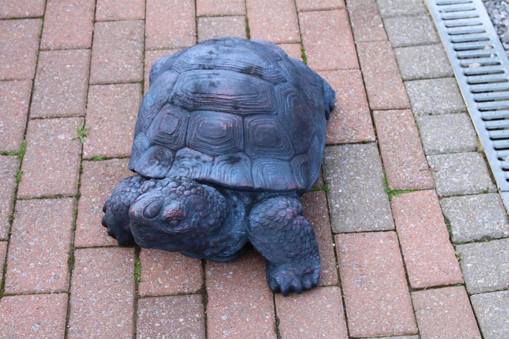Standbeeld van een reuzenschildpad uit Galapagos, Tuin en Terras, Ophalen, Nieuw, Kunststof, Dierenbeeld