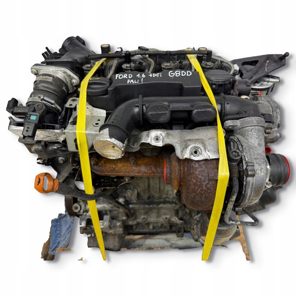 Moteur G8DD Complet FORD C-MAX FOCUS, Autos : Pièces & Accessoires, Envoi, Utilisé, Skoda