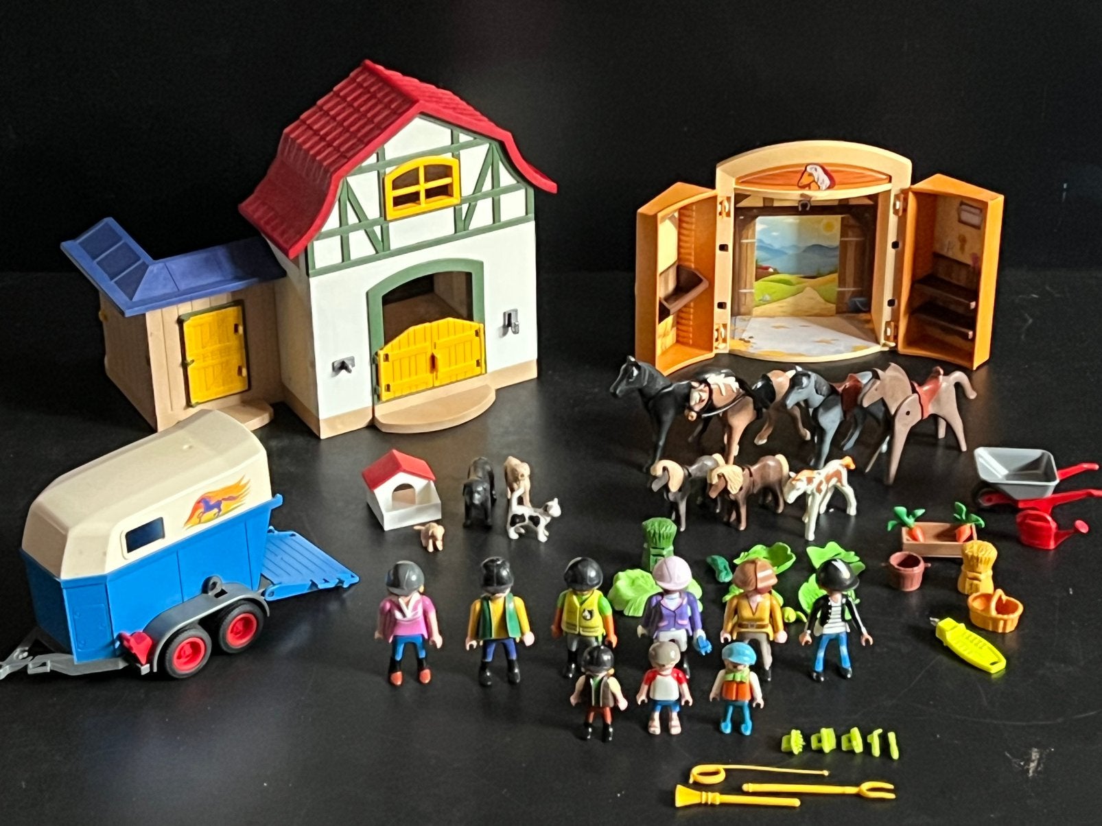 Manège met paarden & pony’s, Ophalen, Zo goed als nieuw