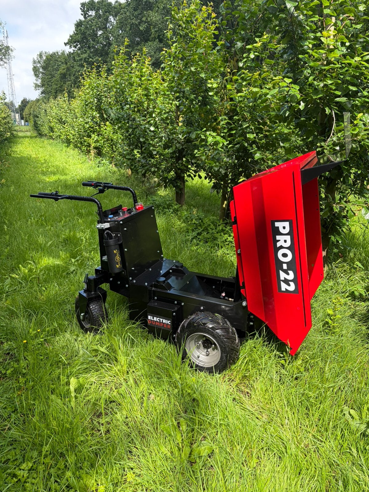 Te huur minidumper motorkruiwagen laadverm 500 kg hydro kip, Ophalen