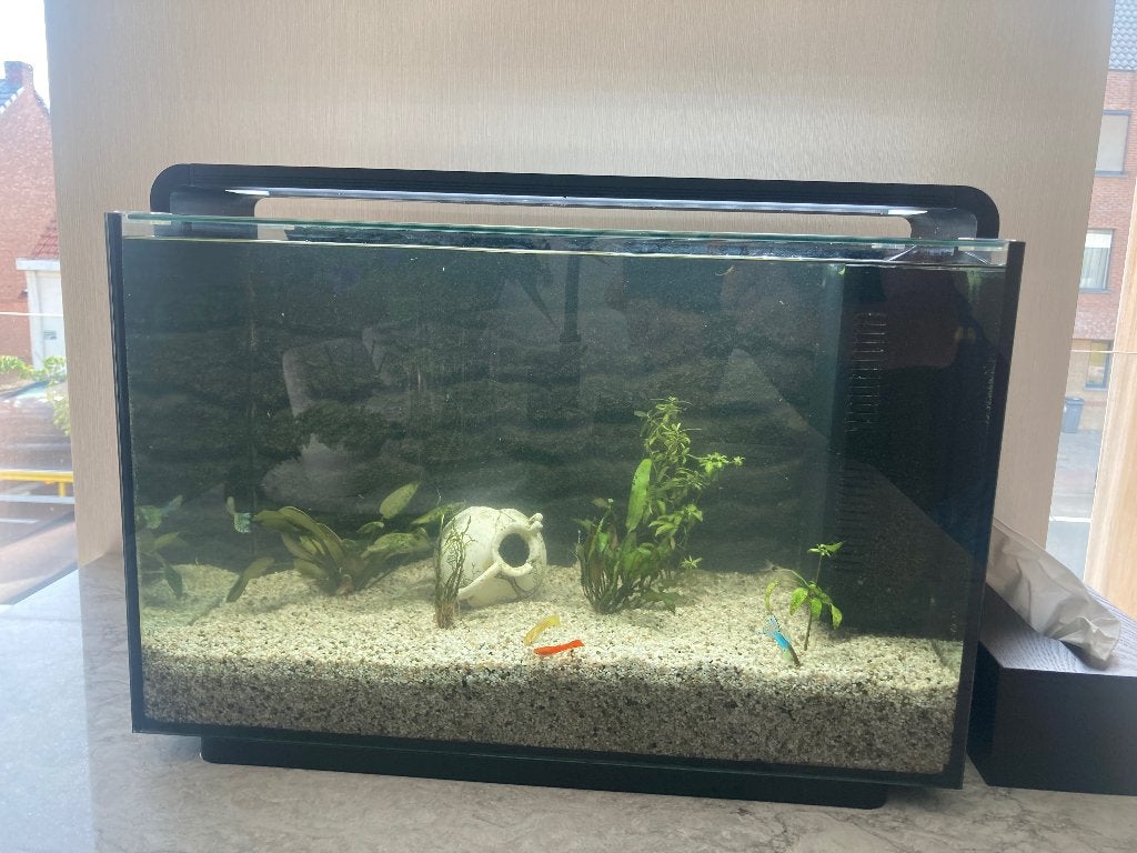 Aquarium, Ophalen, Overige merken, Inclusief vissen, Gevuld zoetwateraquarium