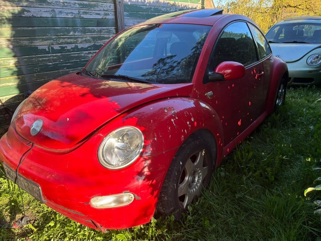 Beetle, Particulier, Achat