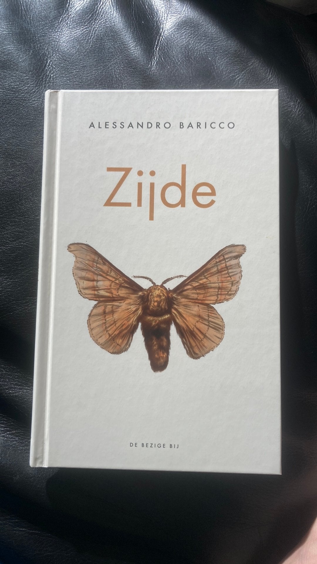Alessandro Baricco - Zijde, Boeken, Ophalen, Alessandro Baricco