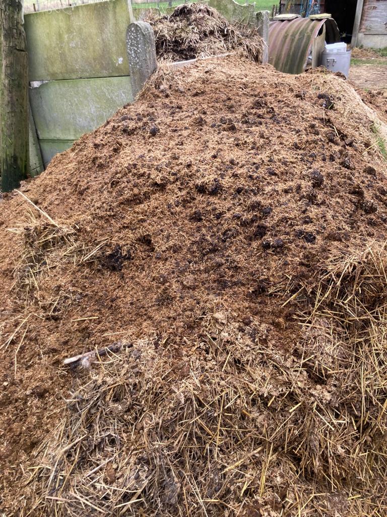 Gratis paarden mest, Enlèvement, Fumier