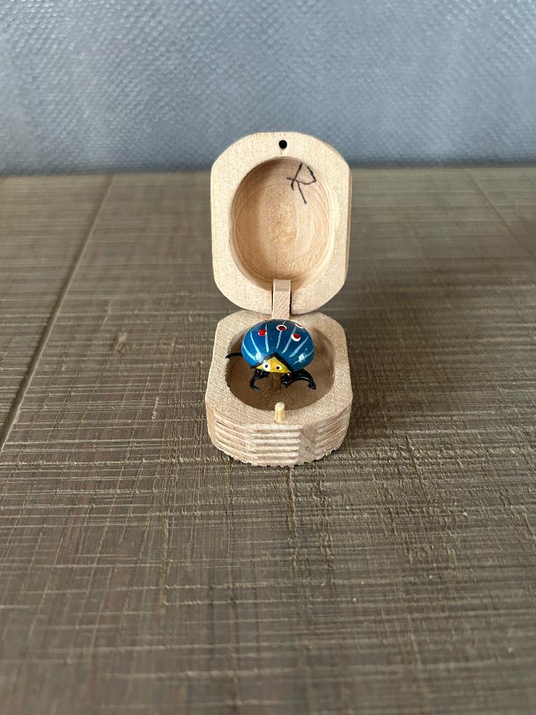 Houten doosje - bewegend kevertje, Ophalen of Verzenden, Zo goed als nieuw