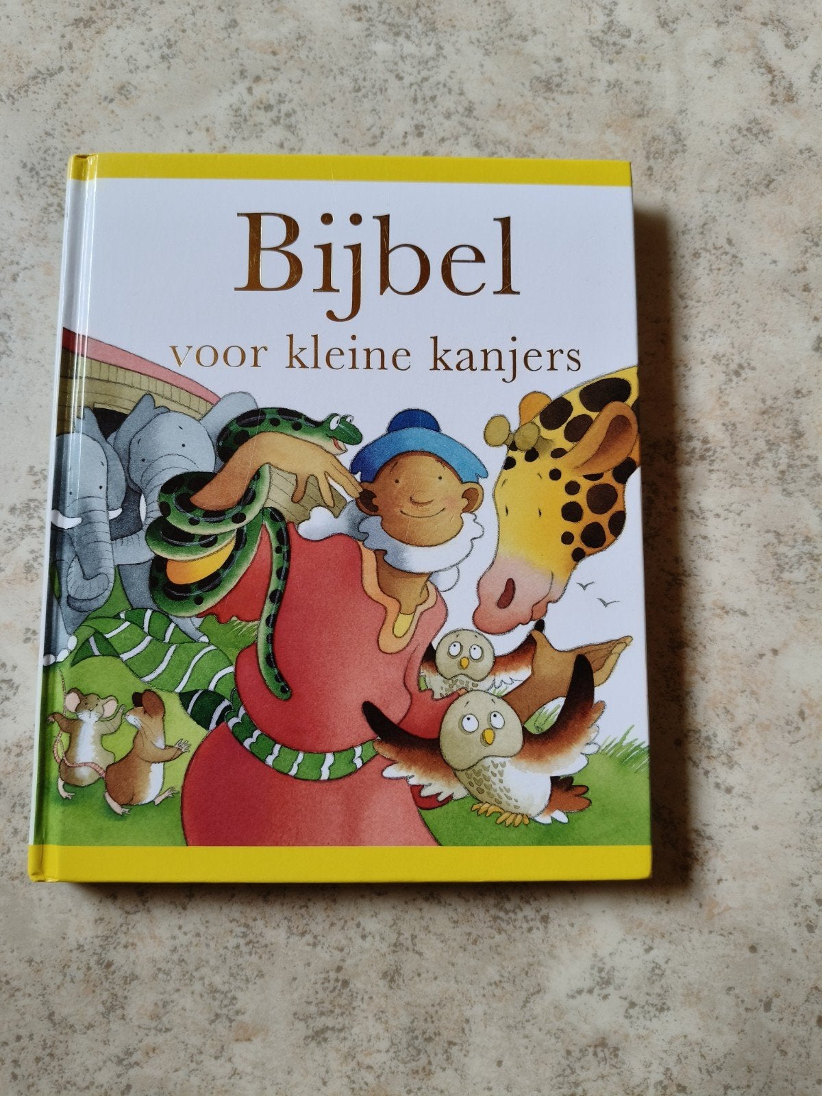 Histoires bibliques Bible pour petits garçons Ark Book, Enlèvement