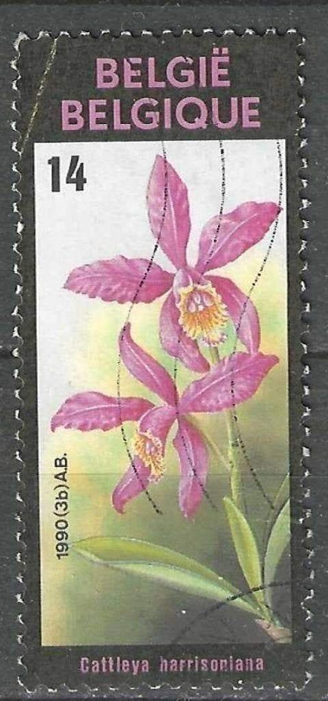Belgie 1990 - Yvert/OBP 2358 - Gentse Floralien VIII (ST), Verzenden, Gestempeld, Gestempeld