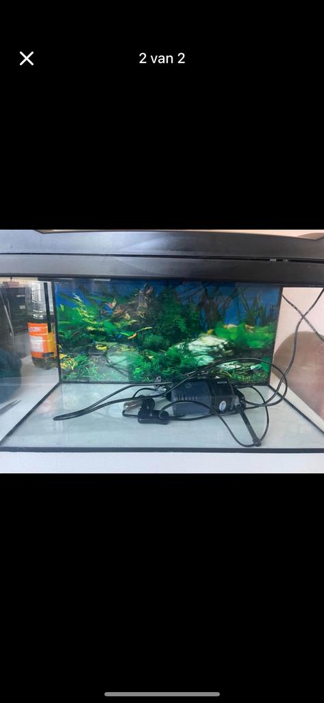 Mooie aqarium met licht filter en warmtepomp, Dieren en Toebehoren, Ophalen, Zo goed als nieuw, Filter