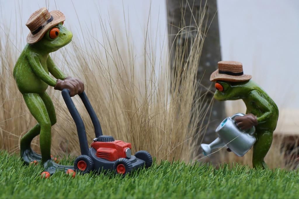 Grasmaaien, Tuin en Terras
