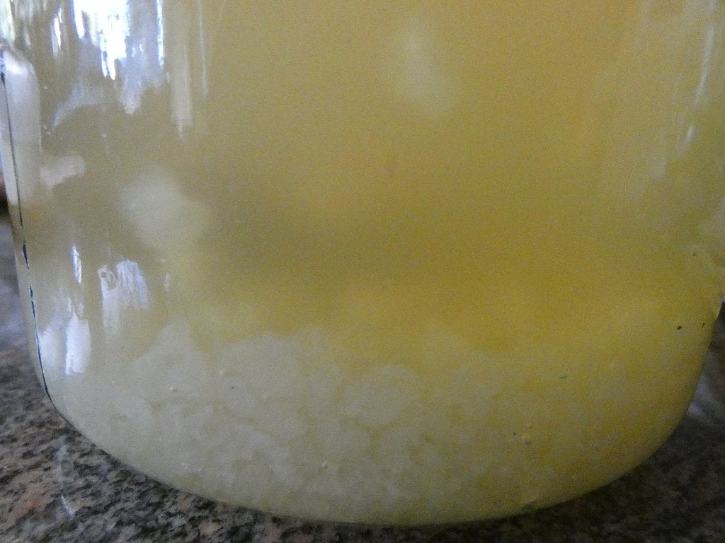Grains de KEFIR de fruits - A DONNER, Enlèvement
