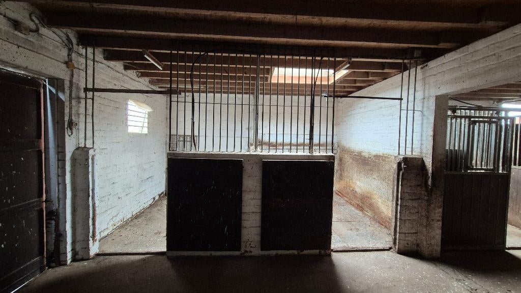 5 Paardenstallen, Stalling, 4 paarden of pony's of meer