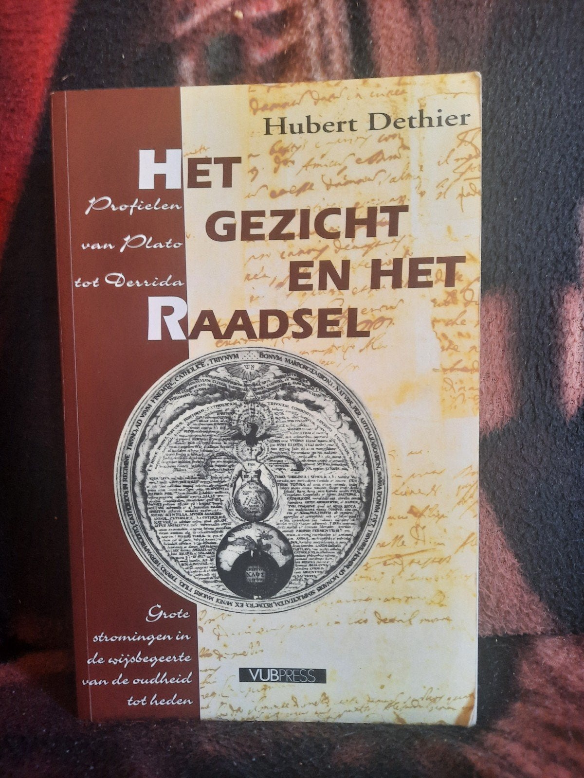 Het Gezicht en het Raadsel Hubert Dethier, Boeken, Filosofie, Ophalen of Verzenden