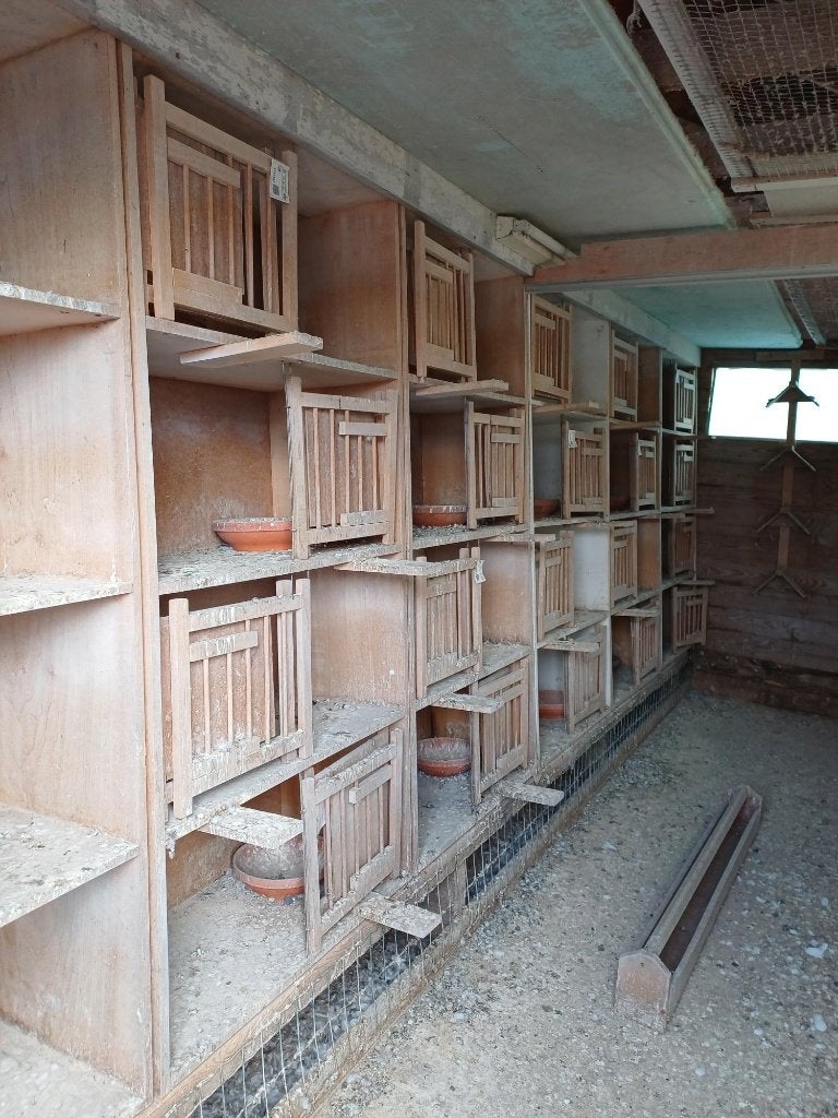 Kweekbakken, Dieren en Toebehoren, Ophalen, Gebruikt, Hout, Broedkooi of Kweekkooi