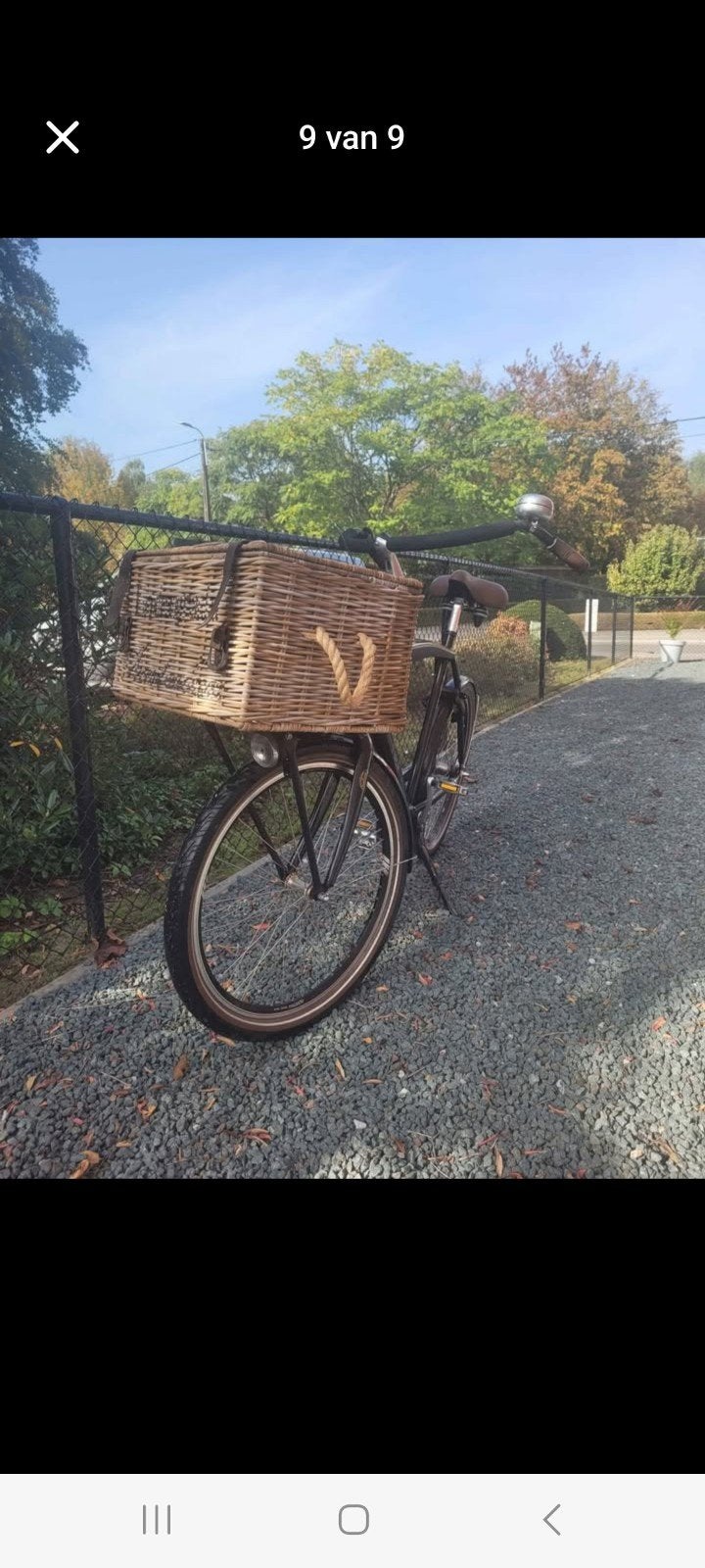 bakkersfiets, Ophalen, Terugtraprem, Gebruikt, Puch
