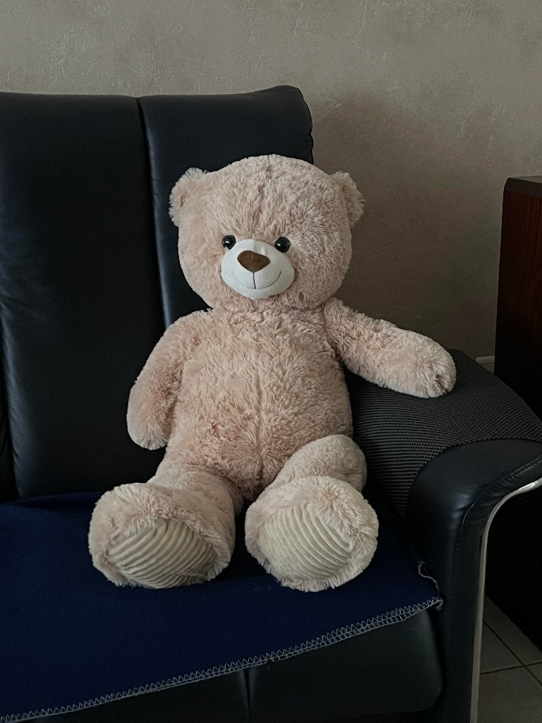 Ours en peluche 1m, Enlèvement, Neuf, Ours en tissus, Autres marques