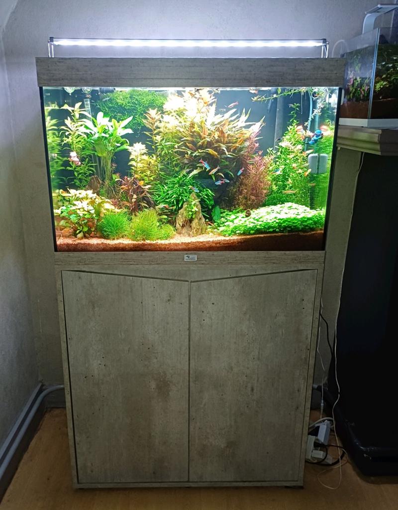 Aquatlantish aquarium met inhoud,zie omschrijving, Ophalen, Aquatlantis, Inclusief vissen, Gevuld zoetwateraquarium