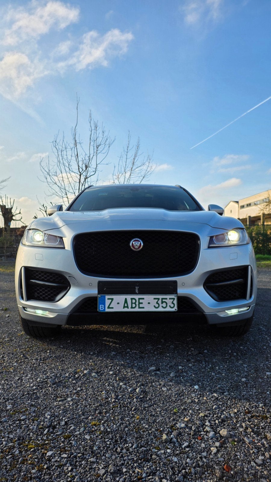 JAGUAR, Auto's, Automaat, Cruise Control, Leder, Bedrijf