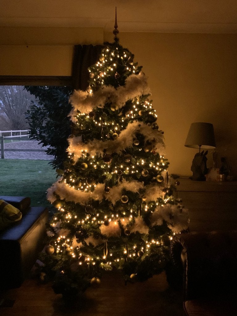 Kerstboom, Diversen, Ophalen, Zo goed als nieuw