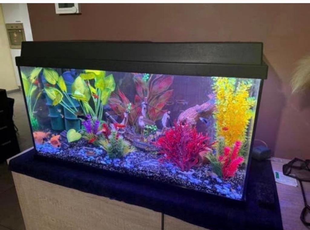 Lege aquarium met filter en led verlichting thermostaat, Dieren en Toebehoren, Ophalen, Gebruikt, Filter