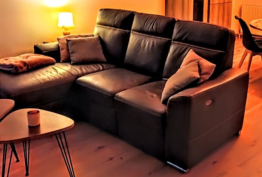Canapé en cuir, Maison & Meubles, Trois personnes, 200 à 250 cm, Banc droit, Comme neuf