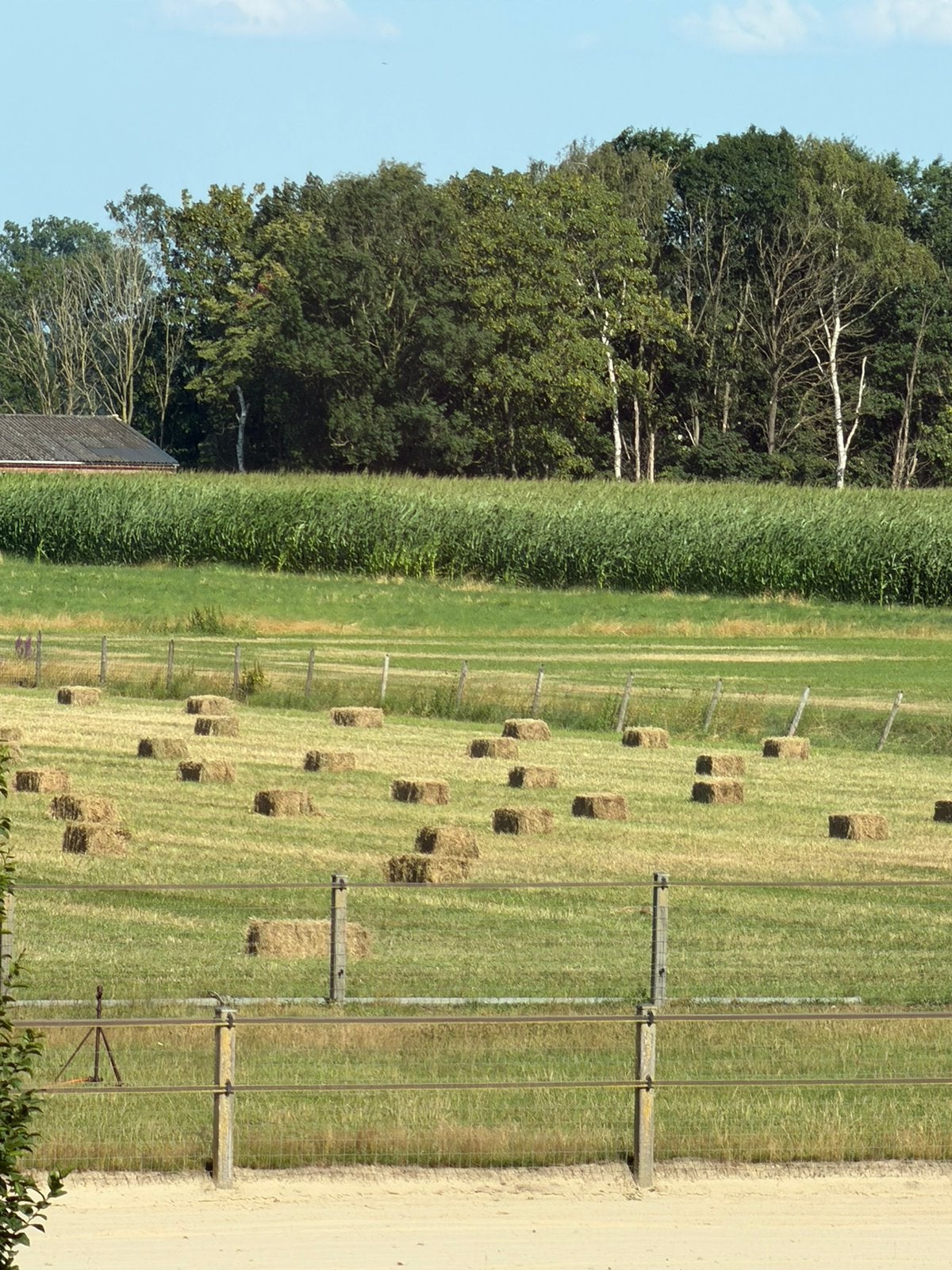 Kleine pakjes droog hooi