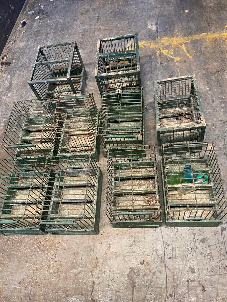 Lot de 10 cages d’oiseaux , Je suis de la région d’Herve, Enlèvement, Comme neuf