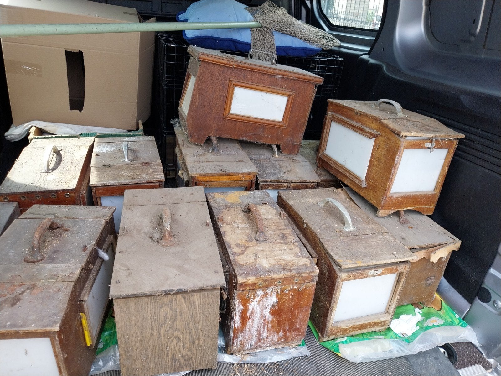 12 vinkenkooien gratis, Animaux & Accessoires, Insectes & Araignées
