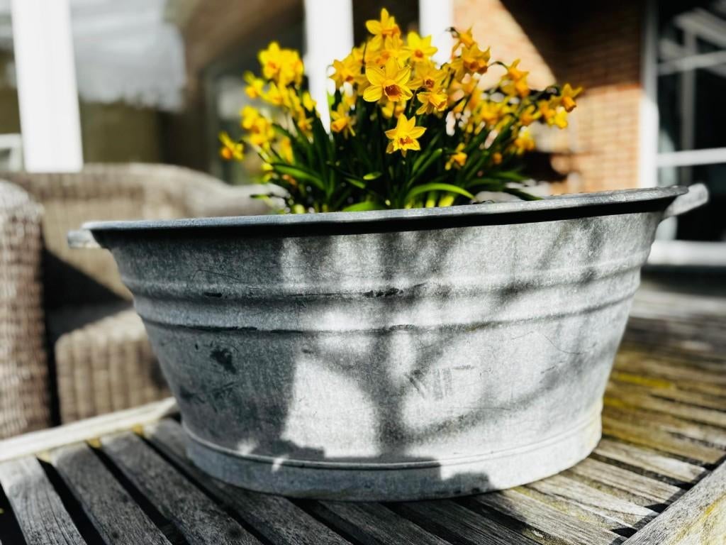 Zinken ovale kuip, Jardin & Terrasse, Bacs à fleurs & Jardinières, Comme neuf, Autres matériaux, Intérieur, Balcon, Jardin, 30 à 60 cm