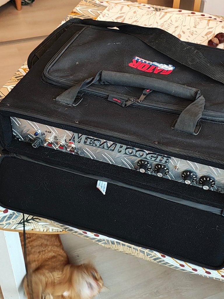 Mesa Boogie Fifty/Fifty 2-Channel 50-Watt Power Amplifer, Musique & Instruments, Enlèvement, Utilisé, Guitare, 50 à 100 watts