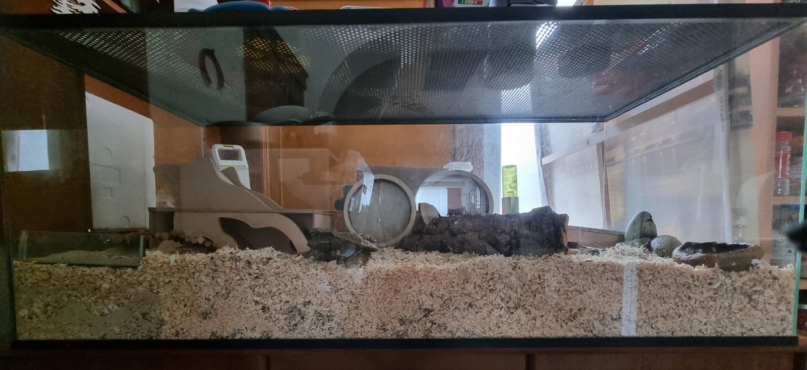 Te koop hamsterbak 120x50x50, Dieren en Toebehoren, Ophalen