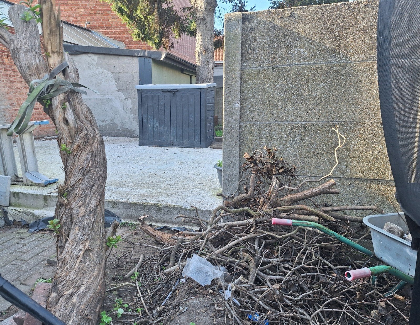 Gratis af te halen: Brandhout en snoeihout, Jardin & Terrasse, Enlèvement