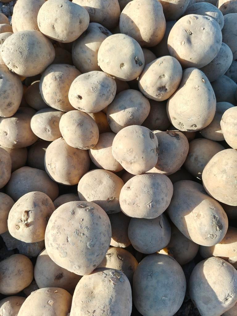 Pootgoed Alegria, Ophalen