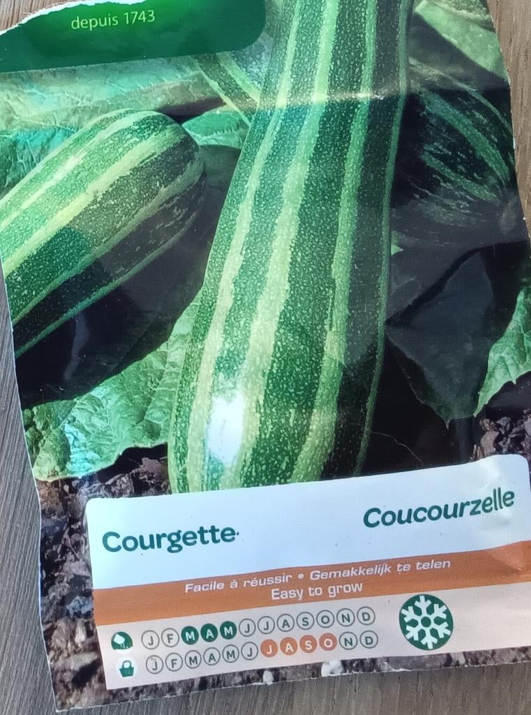 4 soorten Courgetteplanten, Ophalen