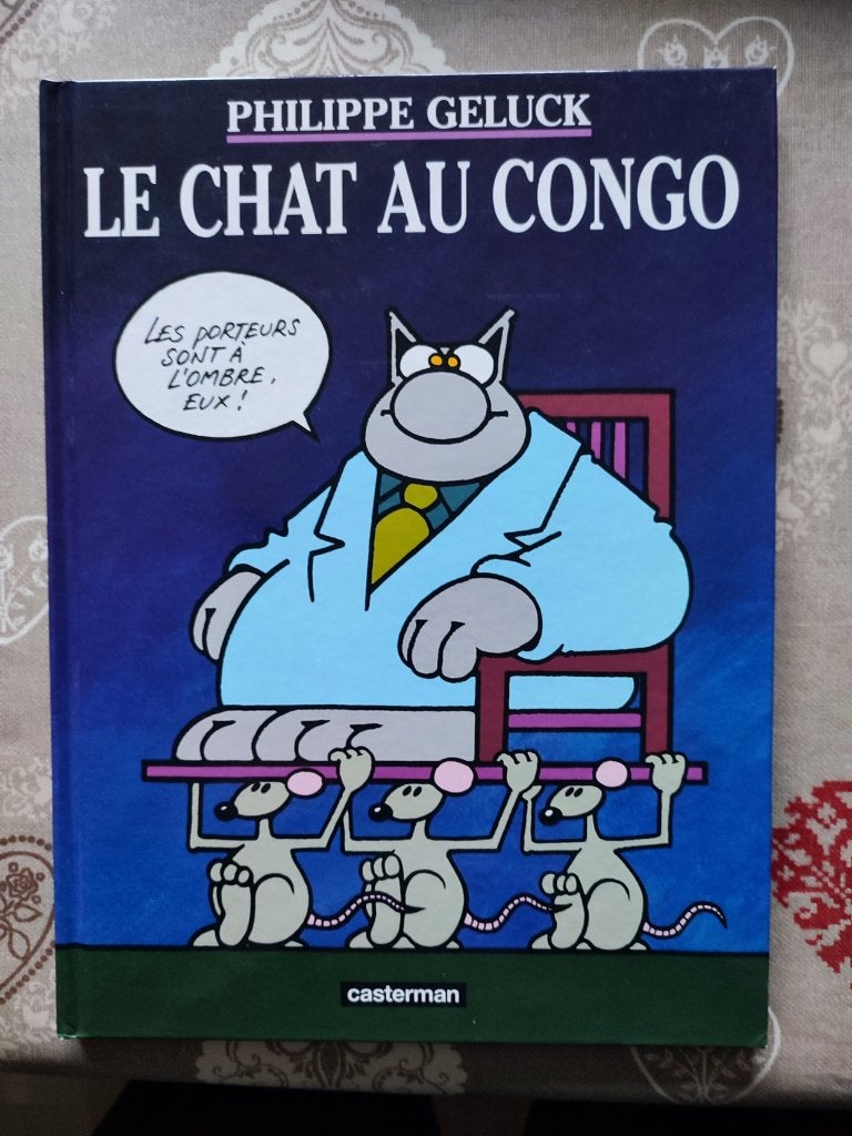 Le chat au Congo, Enlèvement