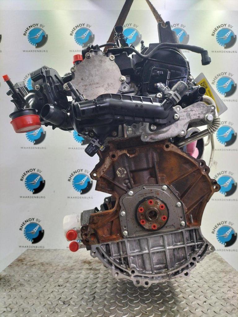 FORD FIESTA ACTIVE MOTOR 2020, Ophalen of Verzenden, Gebruikt, Stiba lid