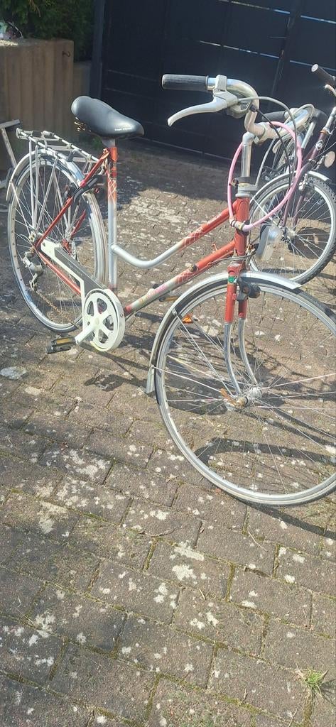 RoadLady rode fiets, rood, 6 versnellingen., Ophalen