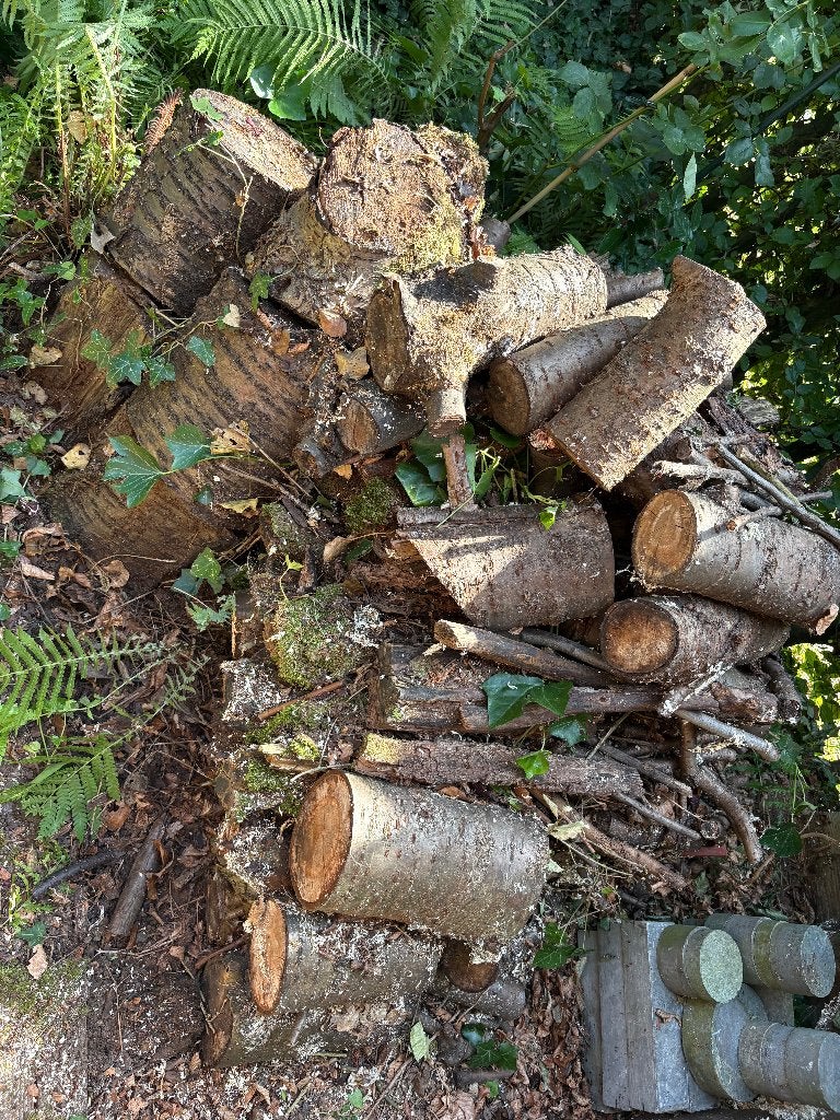 Stapeltje droog brandhout + paar balken, Tuin en Terras, Brandhout, Ophalen