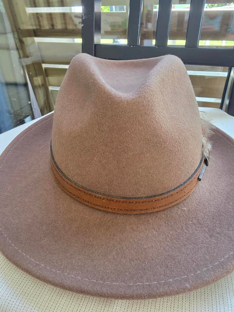 Véritable Stetson en parfaite condition, Kleding | Dames, Hoeden en Petten, Ophalen of Verzenden